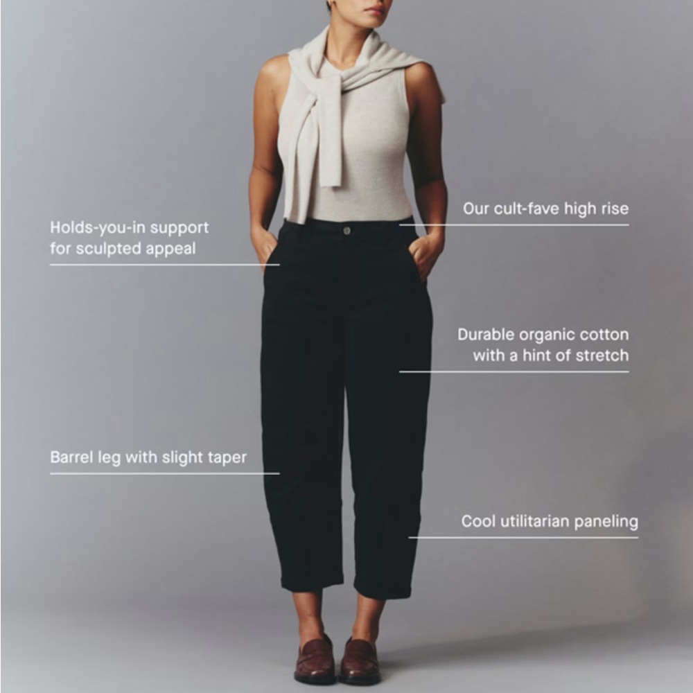 Everlane Arc pants